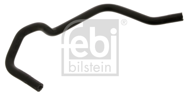 Hose, crankcase ventilation